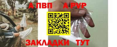 шишки Шелехов