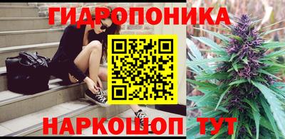 шишки Шелехов