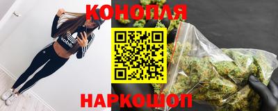 шишки Шелехов